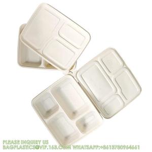Disposable Biodegradable Sugarcane Bagasse Pulp Food Container Take Away Lunch