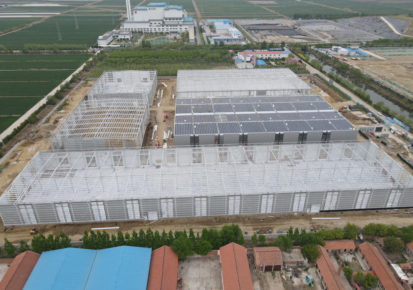 Cost‑Effective Steel Structure Warehouse Construction
