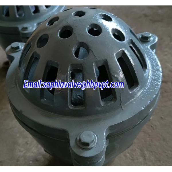 GG20 BS21 cast iron resilient seal foot valve