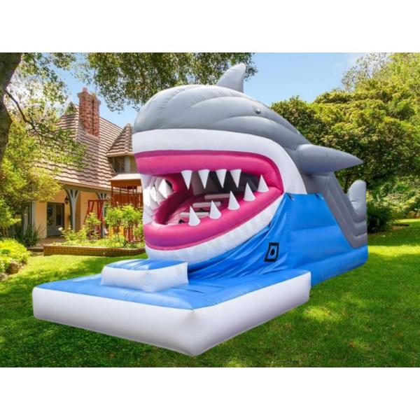 Outdoor Inflatable Kids Slide with Air Tight Design and Accessory Packing Bag