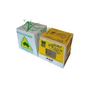 Corruone PP polypropylene correx foldable box Fresh vegetable and fruits pp