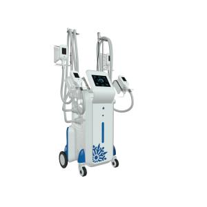 2019 LaSTEst spa or clinic use permanent cellulite cold body sculpting