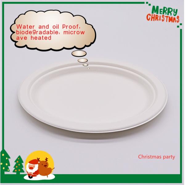 Biodegradable Food Container 2C Box friendly fully takeout tableware