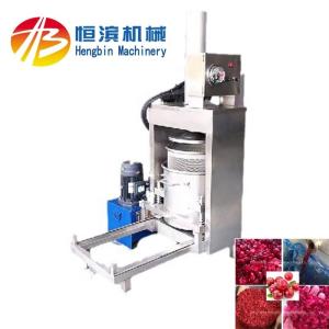 Powerful 3kw Hydraulic Juicer Press for Strawberry Lemon Apple Banana Pear