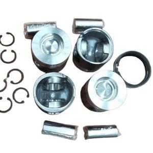 Wholesale Piston Kit 1004016P for Engine BF4M2012 from china suppliers