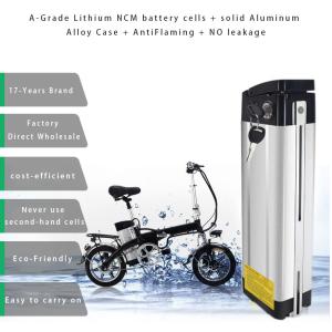 Customized Ebike Li Ion Battery 13S6P 48v 20Ah Electric Bike Lithium Ion Battery