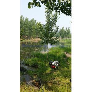 Wholesale TSP-Flush40 drilling rig for river net area oil shothole from china suppliers