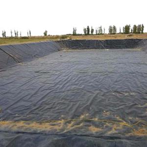 GB/ASTM GRI-GM13 Standard Pond Fish Liner Cistern Geomembrane for Industrial