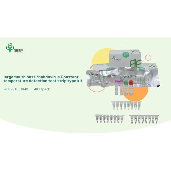 Overall solution for thermostatic detection of largemouth bass rhabdovirus