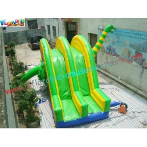 Cute Dragon Commercial Inflatable Water , Inflatable Slide Slip Toys