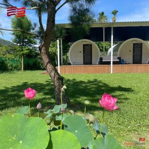 The miracle of transformation from cement pipes the culvert pipe room hotel is