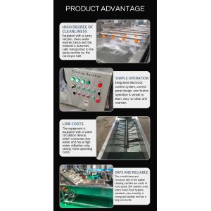 Multifunction Mesh Belt Conveying Fruits Mushroom Vegetable Processing Line