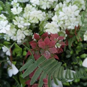 Vertical Backdrop Panel Plastic Plant Artificial Hedge Fence Green Wall For