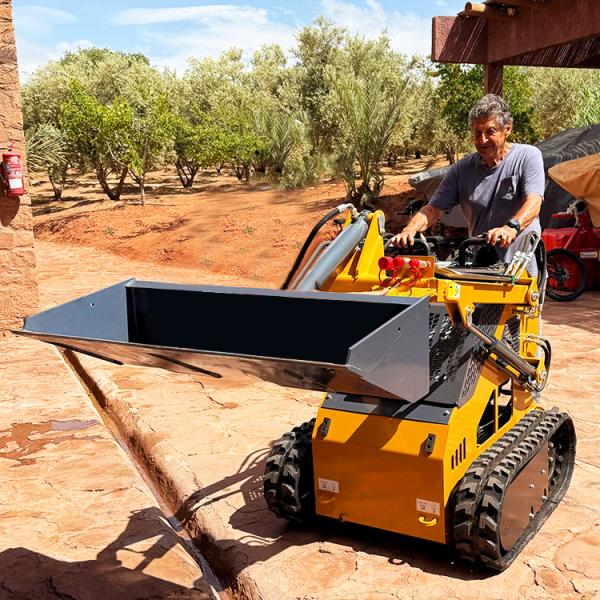 New Ce Epa Engine Diesel Skidsteer Mini Wheel Crawler Loader Earth-Moving