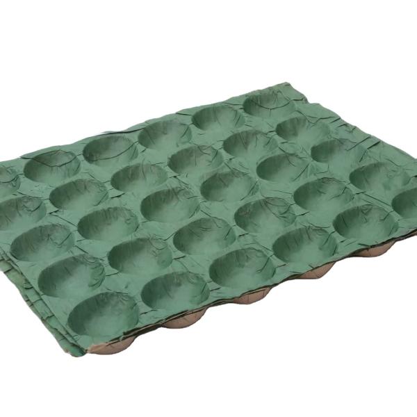 Bulk Selling 30-Hole Apple Packaging Tray Fruit Liners PP Material Tray Paper