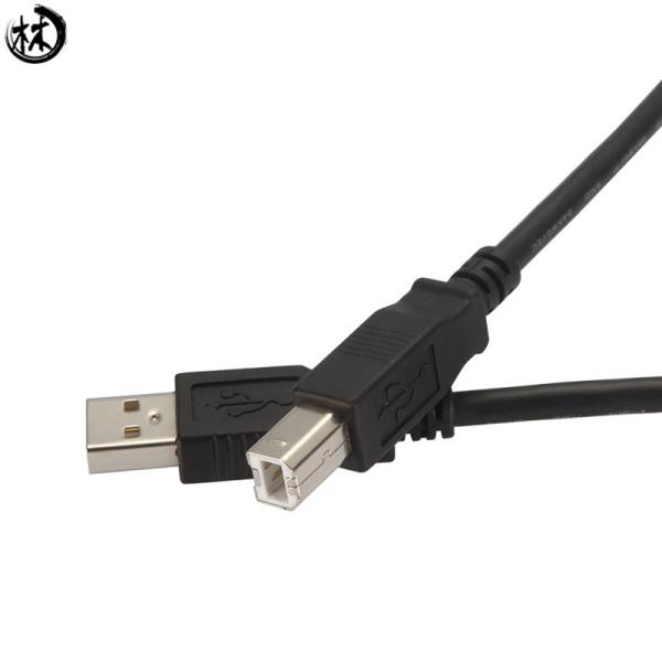Quality USB Printer Cable 2.0 Scanner Cable Type A to B Male 1m 2m 3m 4m 5m Type B port for sale