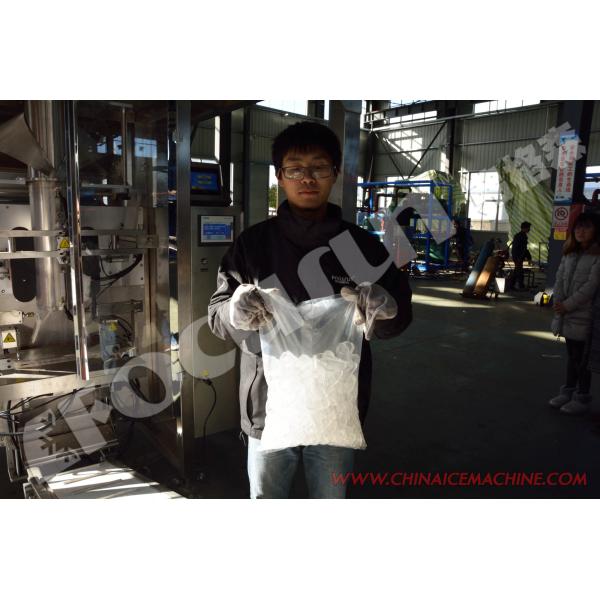 Ice Filling Material Fully Automatic Ice Packer for Time-Saving Packaging Solutions