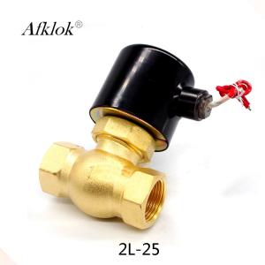 Pilot Type Steam Check Valve , Steam Air Valve AC 380V 220V 36V