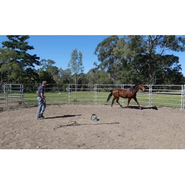13 Portable Horse Stall Panels HEAVY Duty Outdoor Animal Enclosure with Gate