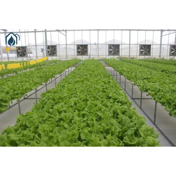 Quality NFT Hydroponic Lettuce Grow Hydroponic System With Vegetable Hydroponic Tubes for sale