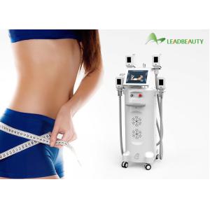 China 3 size 4 handles cryo handles cryolipolysis equipment slimming lipocryo on sale