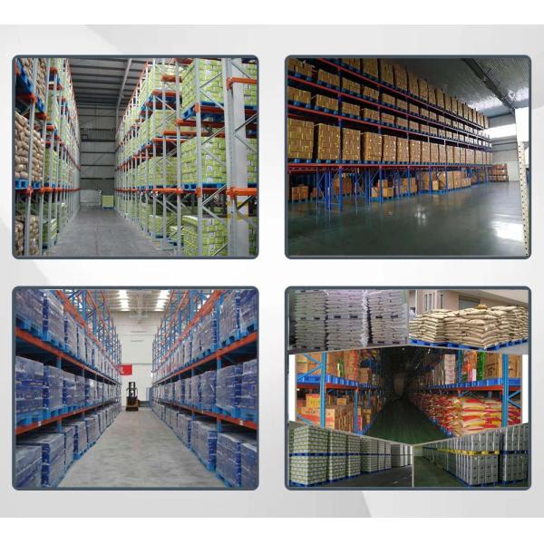 Logistic HDPE Plastic Pallets With Sides Eco Warehouse Plastic Pallet