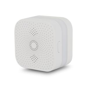 Wholesale CH4 Gas Alarm Detector For Hilton Hotel Use With CE RoHS from china suppliers