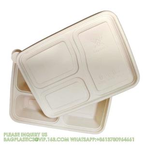 Disposable Biodegradable Sugarcane Bagasse Pulp Food Container Take Away Lunch