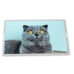 Wholesale A-Si TFT-LCD 8 Inch 800(RGB)*480 New High Quality Touch Screen Panel TX20D33VM2BPA Good Price Lcd Display Screen from china suppliers