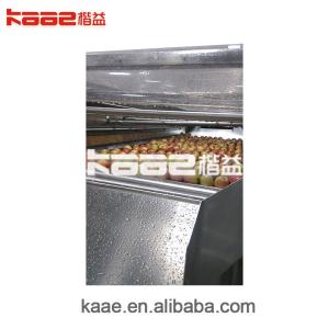 Concentrated Apple Juice Pressing Equipment Machine Production Line