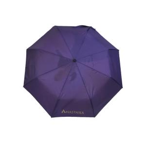 Automatic Windproof Travel Umbrella With Custom Logo Bright Digital Printing