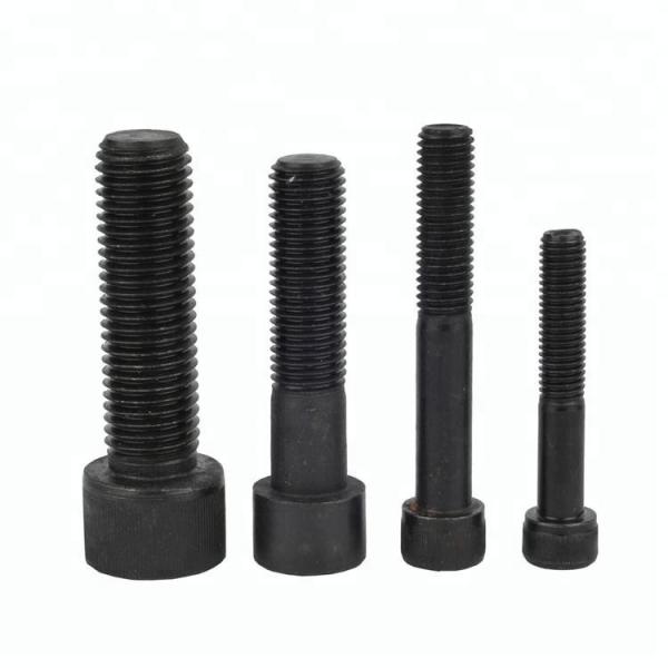 Quality M3 To M56 Hexagon Socket Screw High Tensile Allen Screw for sale