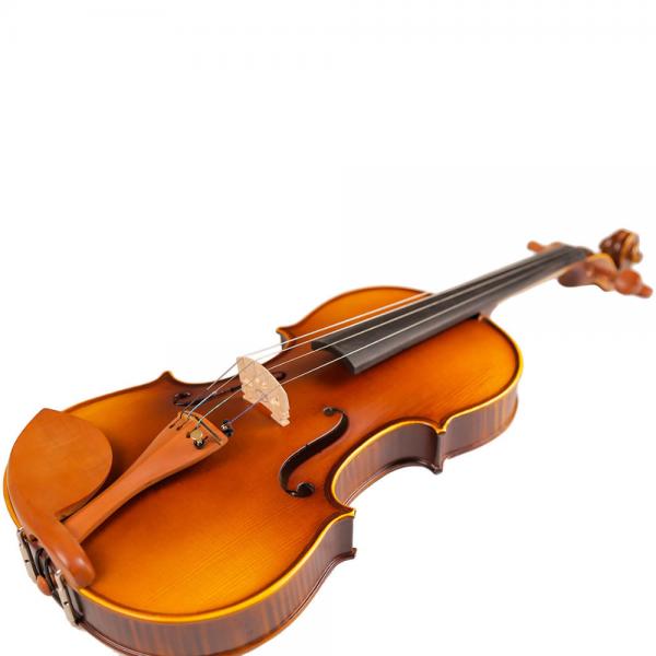 Free Shipping Stradivari Cremonese 1716 Model Violin FPVN01 with Canvas Case and