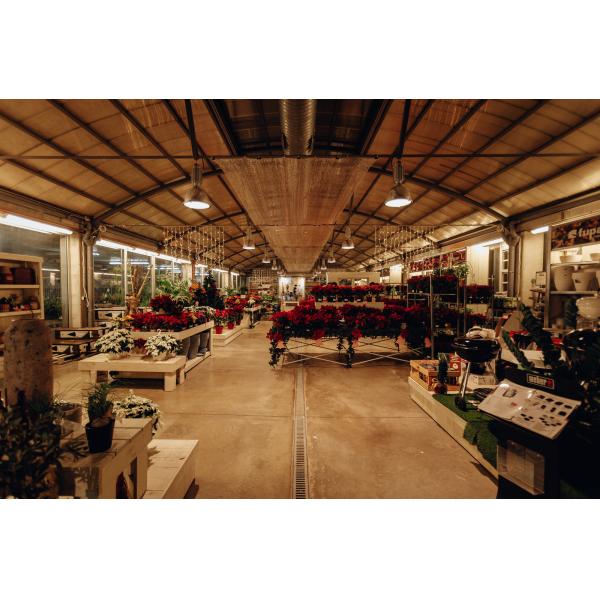 100W 150W 200W 300W LED High Bay Light Waterproof ETL DLC Premium Certification