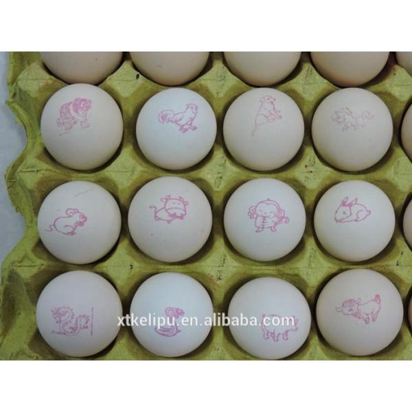 High Tech Carton Coding Machine Eggs Number Inkjet Printer With Solvent For Egg