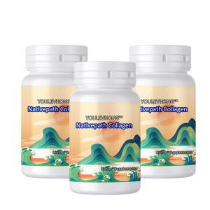 Collagen Supplement Powder With Type II Collagen Peptides For Joint Support