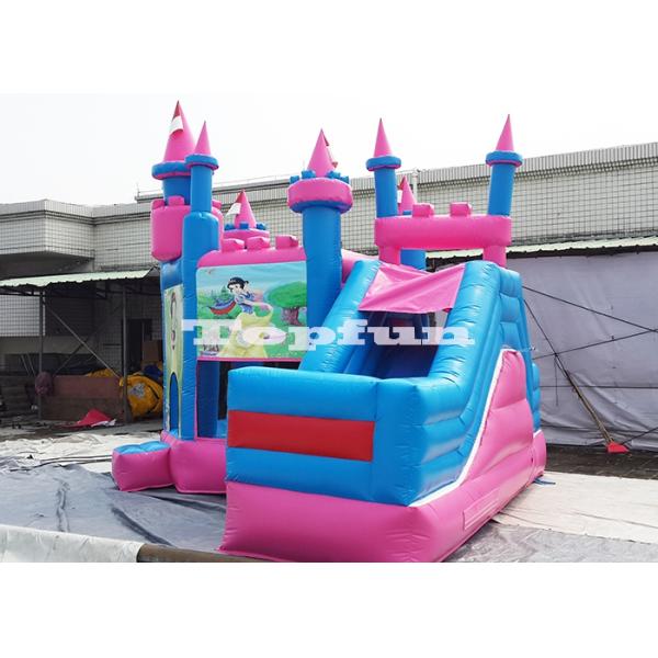 Digital Print Inflatable Jumping Castle / Jump And Slide Doll House