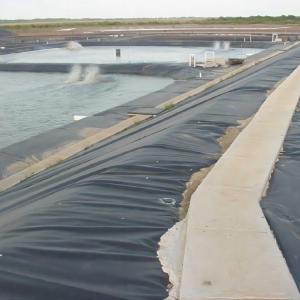 High Tear and Puncture Resistant 0.5mm/1mm/2mm Geomembrane Pond Liner for Fish