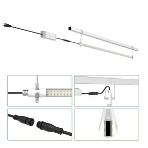 Interlight Greenhouse LED Grow Light For High Wire Crops Boost Yield