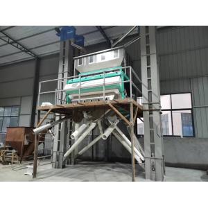 Buckwheat / Barley CCD System Color Sorter Garlic Cloves Color Sorting Machine