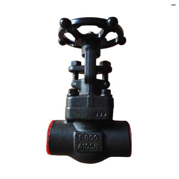 A105N 1500LB ANSI forge gate valve manufacturer