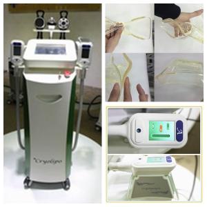 Wholesale Lipo Cryo Cryotherapy Fat Freezing machine Cryolipolysis Machine For Salon Use big handle size from china suppliers