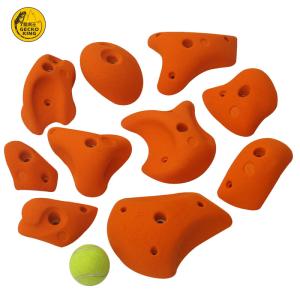 China 10-Piece Gecko King 2018 Rock Climbing Wall Holds in Different Colors for Alternation on sale