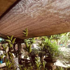 HDPE wear resistance sunshade netting environmental protection sunshade net