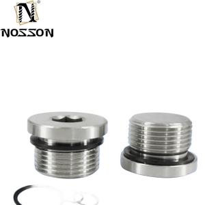 Stainless Steel Pipe Plug DIN908 Hex Socket Head Screw Plugs Internal Drive