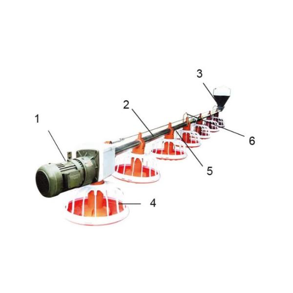 Poultry Automatic Broiler Feeding System For Floor Chicken House