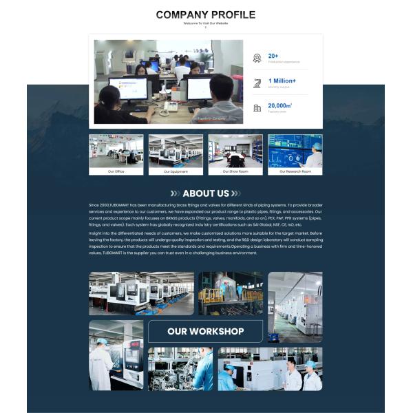 Pex Al Pex Connection With CW602N Material Pex Compression Fittings For Gas System