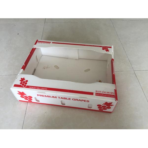 Polypropylene Corrugated Plastic Vegetable Packaging Box Rigid Lightweight Storage Packing Box