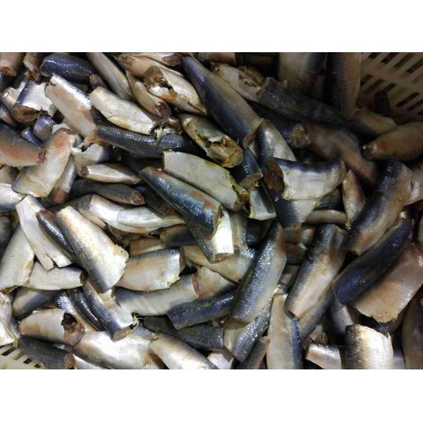 Competitive Price Delicious Fresh Material Sardines Fish Canned in Tomato Sauce