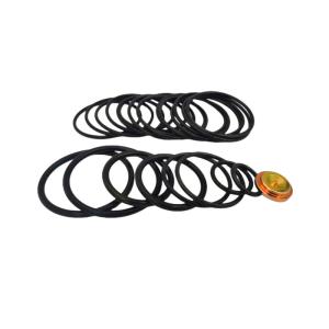 Hardness Types Seals Wireline O Ring Kits Custom Labeling For Energy Industry